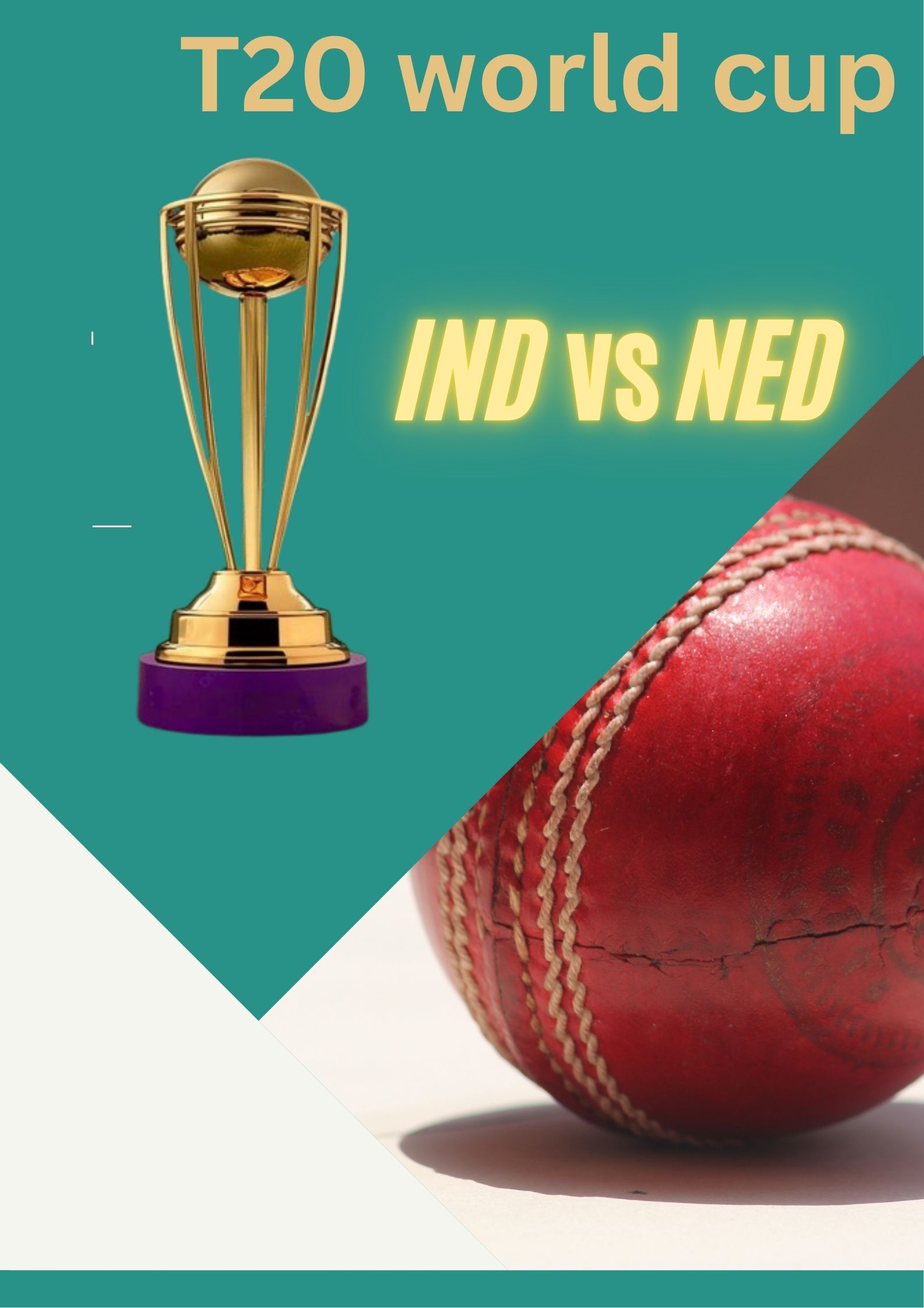 IND vs NED T20 world cup 2026