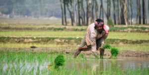 PM Kisan 22nd Installment 2026: किसानों को कब मिलेंगे 2000? जानें पूरी अपडेट