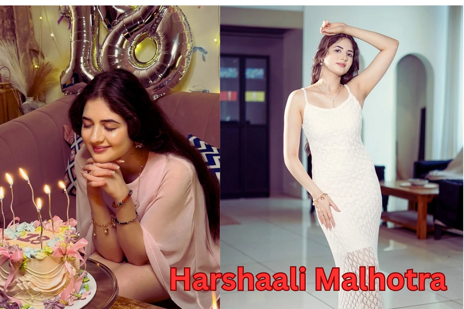 Harshaali Malhotra Biography